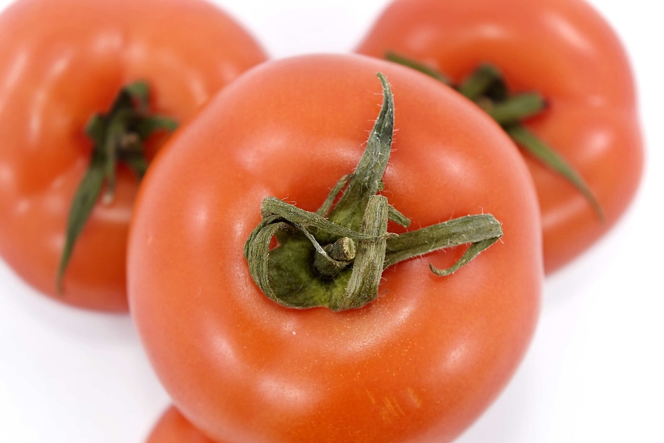 Antioxidant carbohydrate diet
