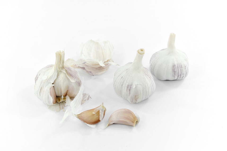Vegetable organic spice