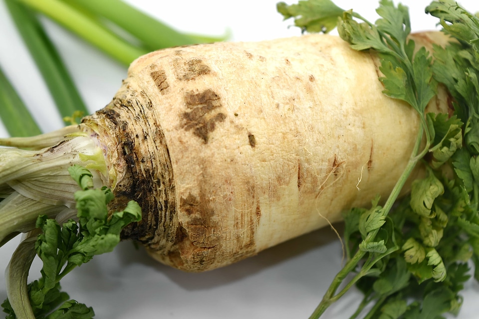 Aromatic celery green leaves