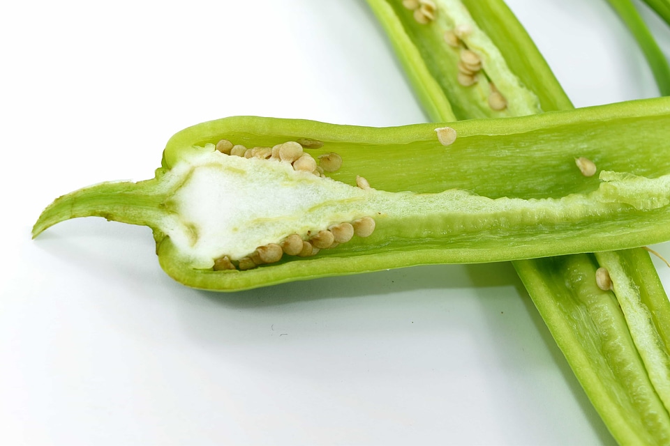 Agriculture chili cross section
