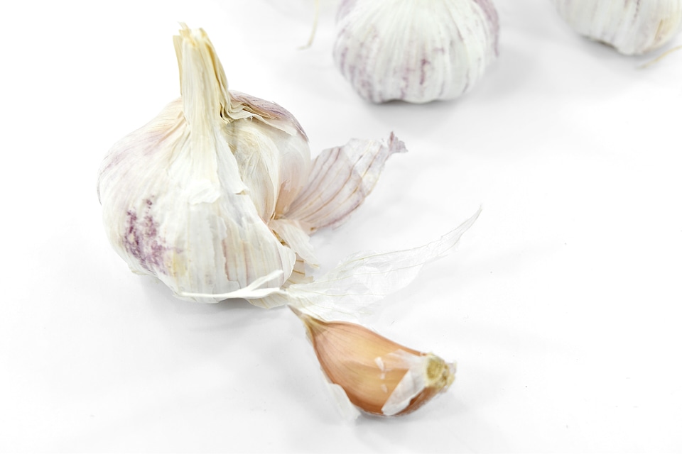 Antibacterial antioxidant diet