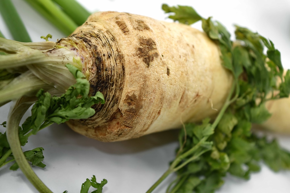 Celery green leaves vegan