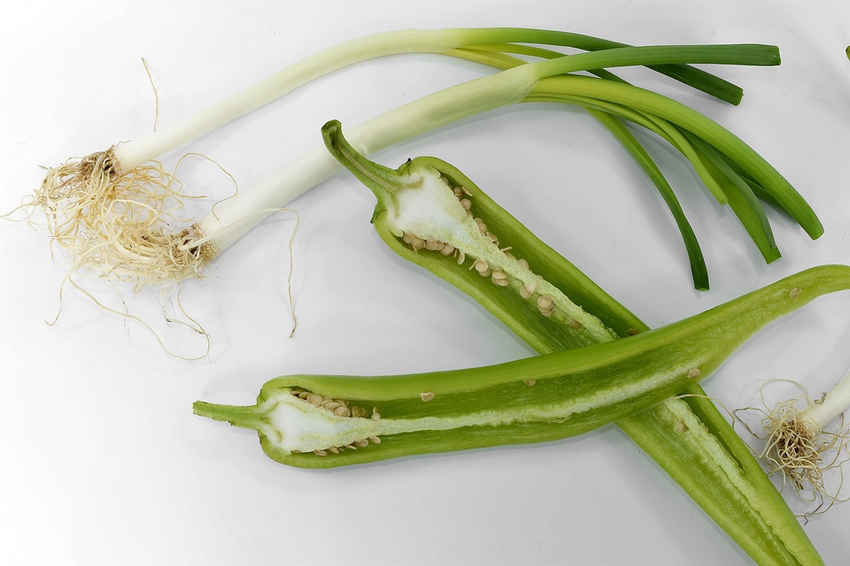 Cross Section leek onion