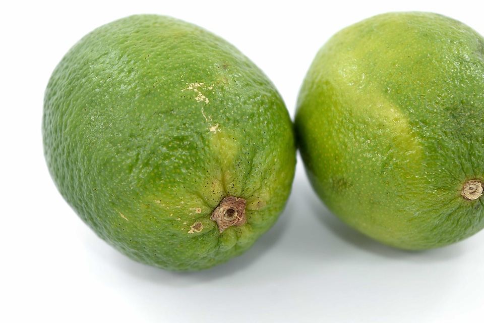 Dark Green lime lemon