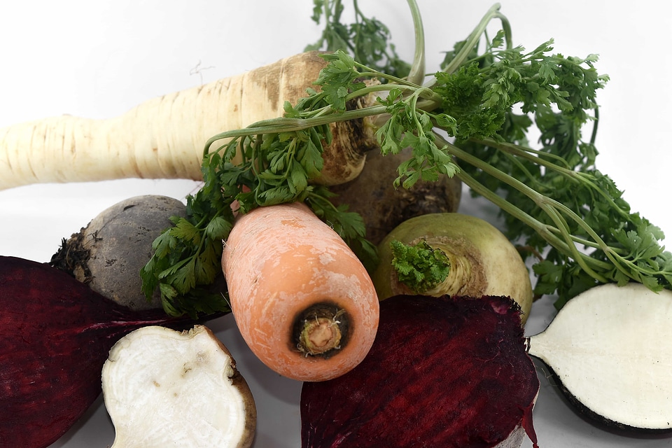 Beetroot carbohydrate carriage