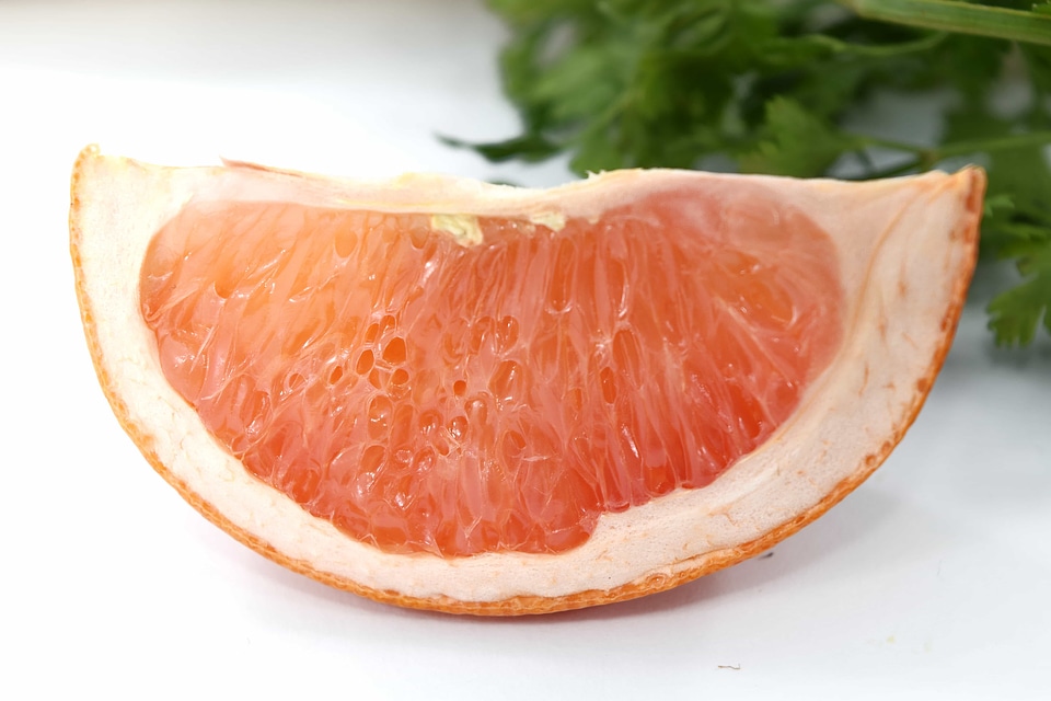 Bitter citrus grapefruit