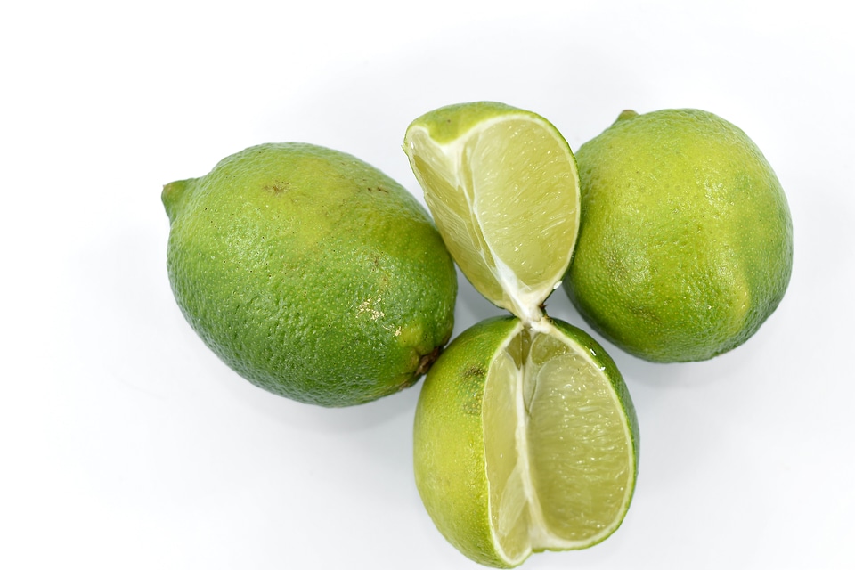 Antibacterial antioxidant bitter