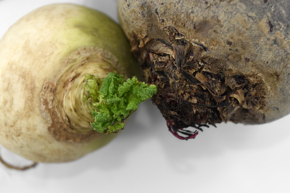 Beetroot cortex culinary