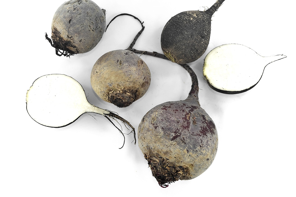 Beetroot black and white radish