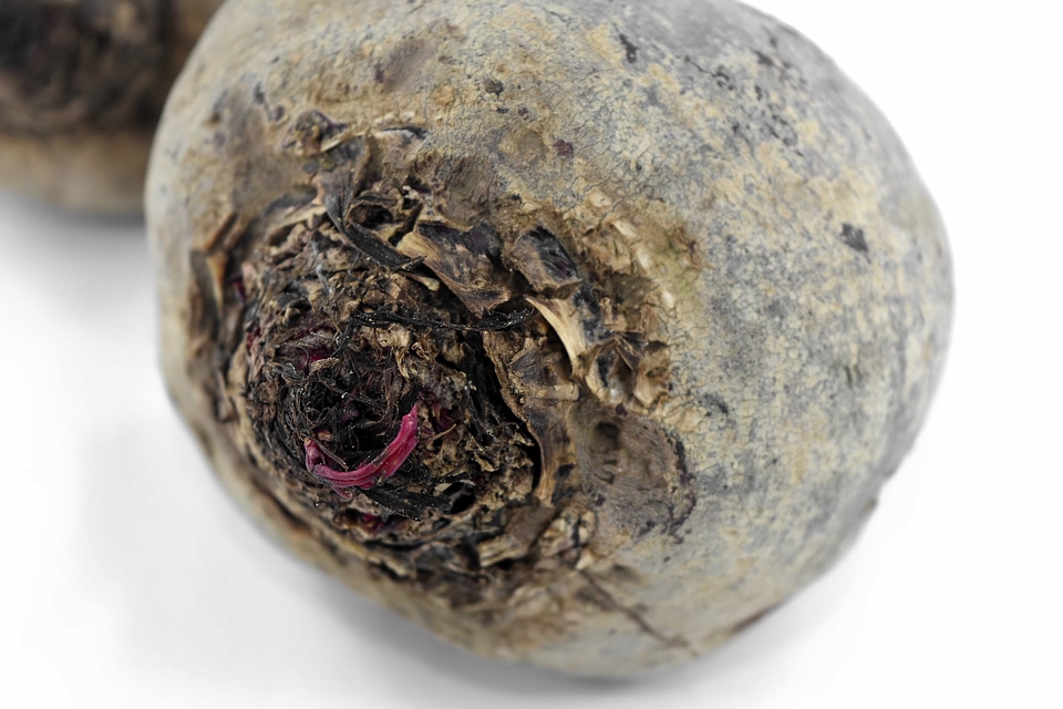 Agriculture antioxidant beetroot