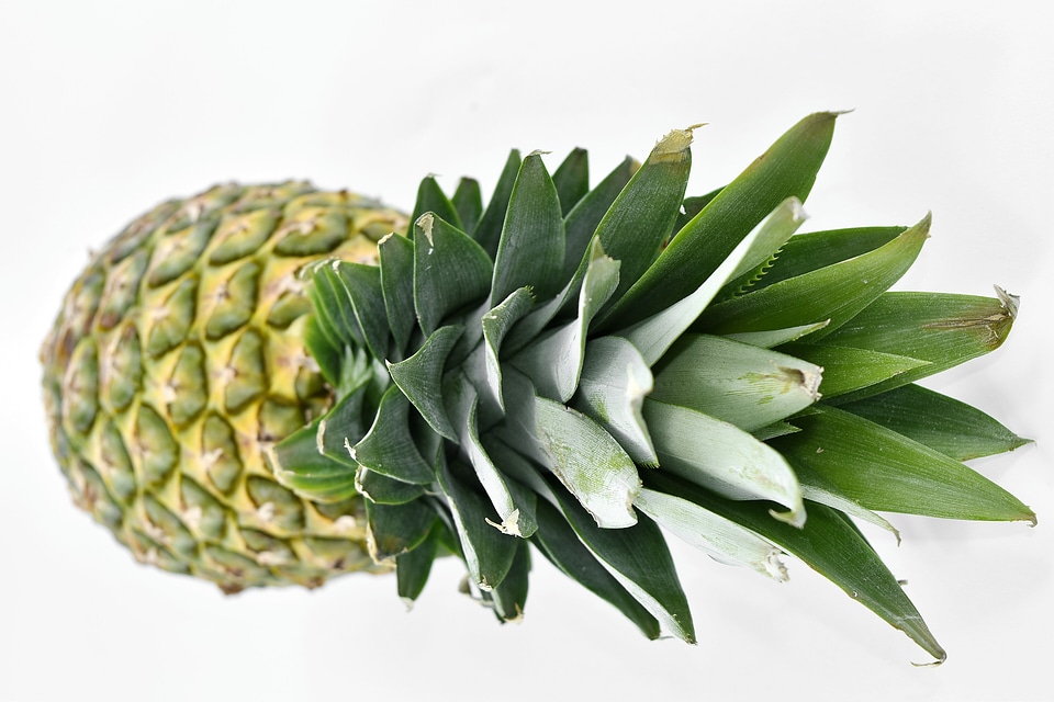 Agriculture pineapple vitamin