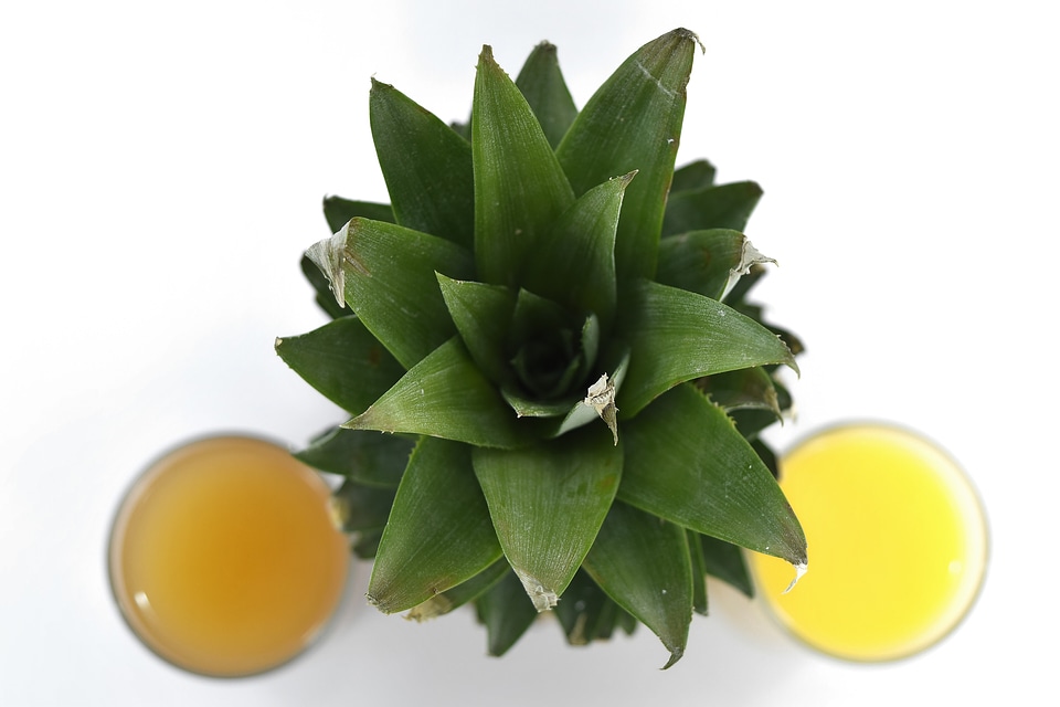 Angle fruit juice green leaves