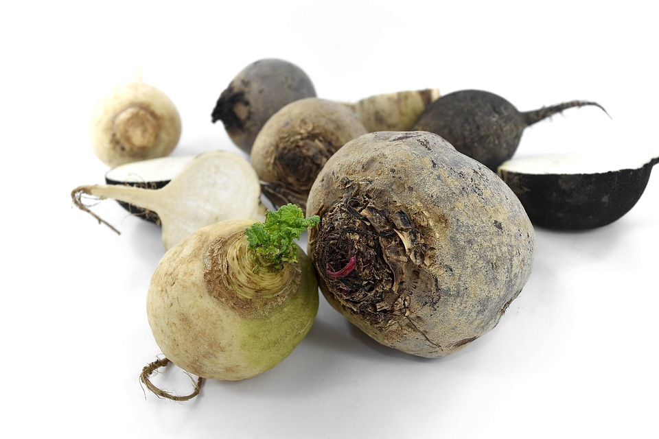 Antioxidant antitoxin diet