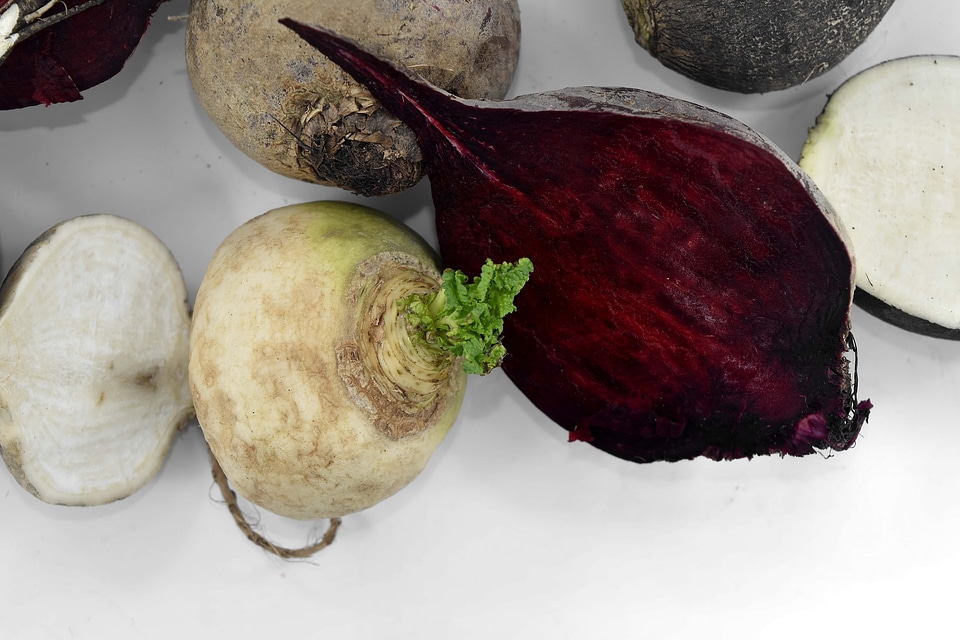 Beetroot radish root