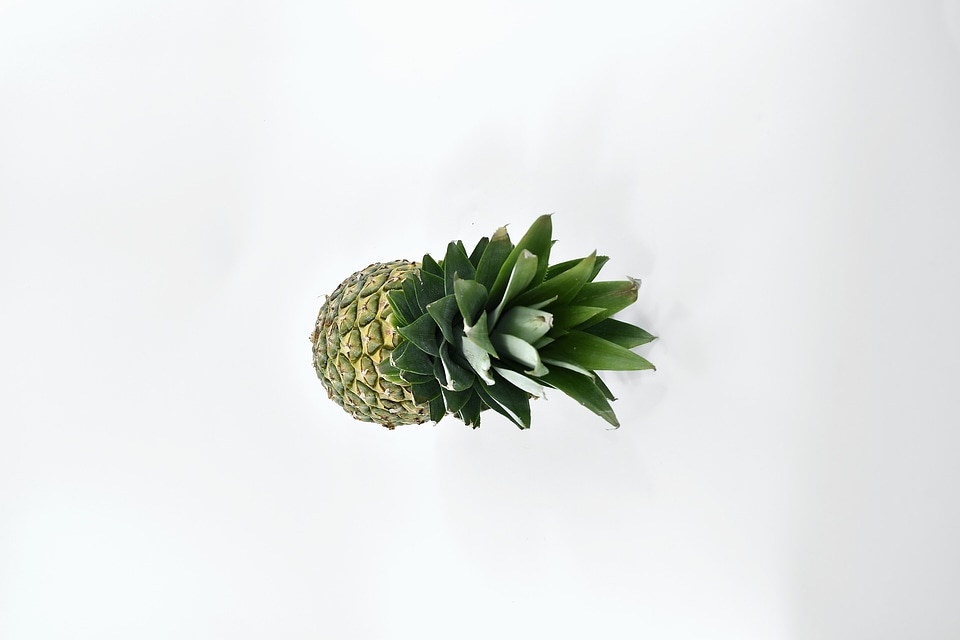Antioxidant fruit organic