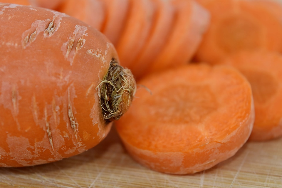 Agriculture carrot close-up
