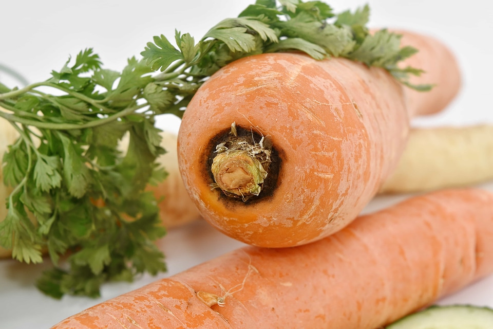 Antioxidant ingredients healthy