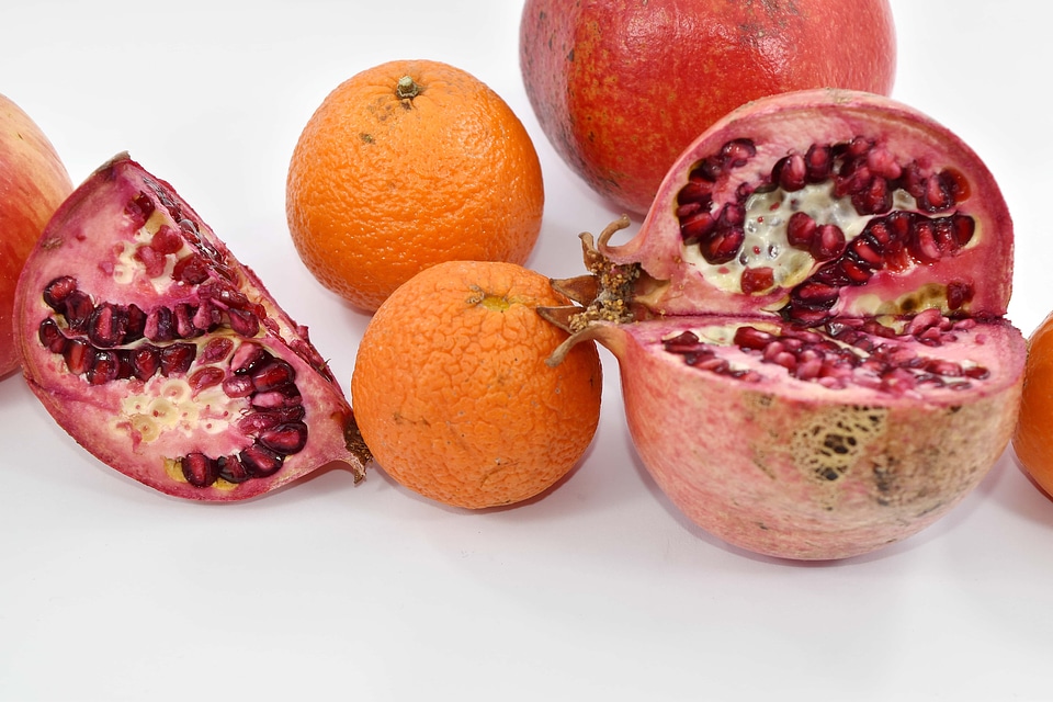 Cross Section fruit herb