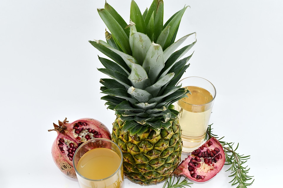 Citrus drink fruit cocktail