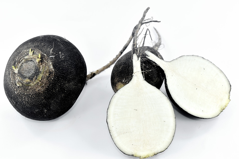 Organic radish roots