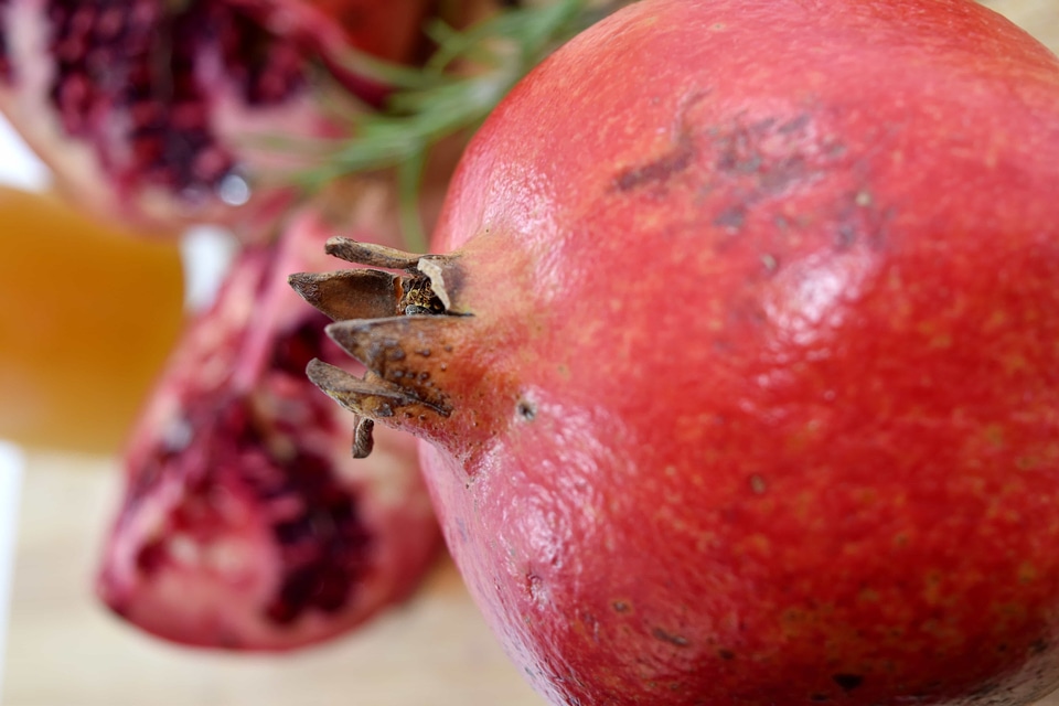 Antioxidant diet macro