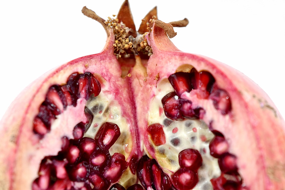 Close-Up cross section pomegranate