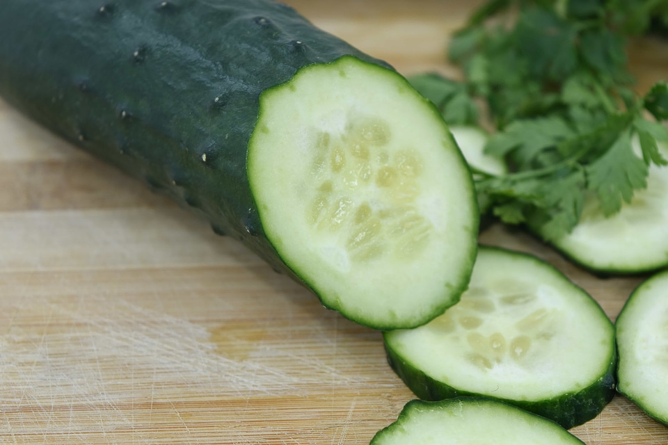 Cucumber kitchen table salad