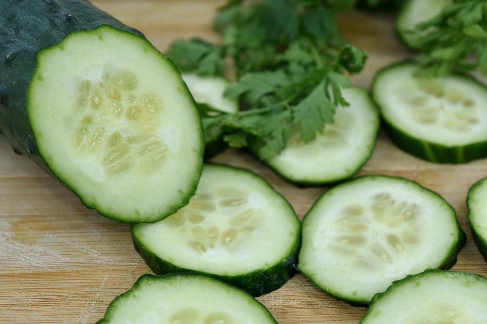 Cross Section cucumber food