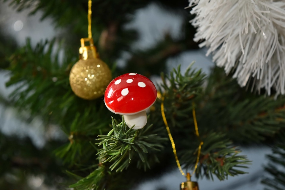 Christmas christmas tree decoration