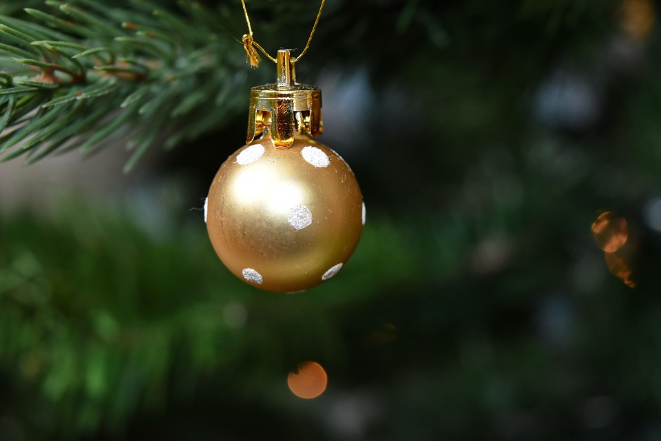 Christmas christmas tree golden glow