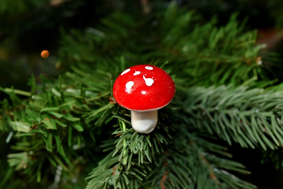 Decorative detail christmas
