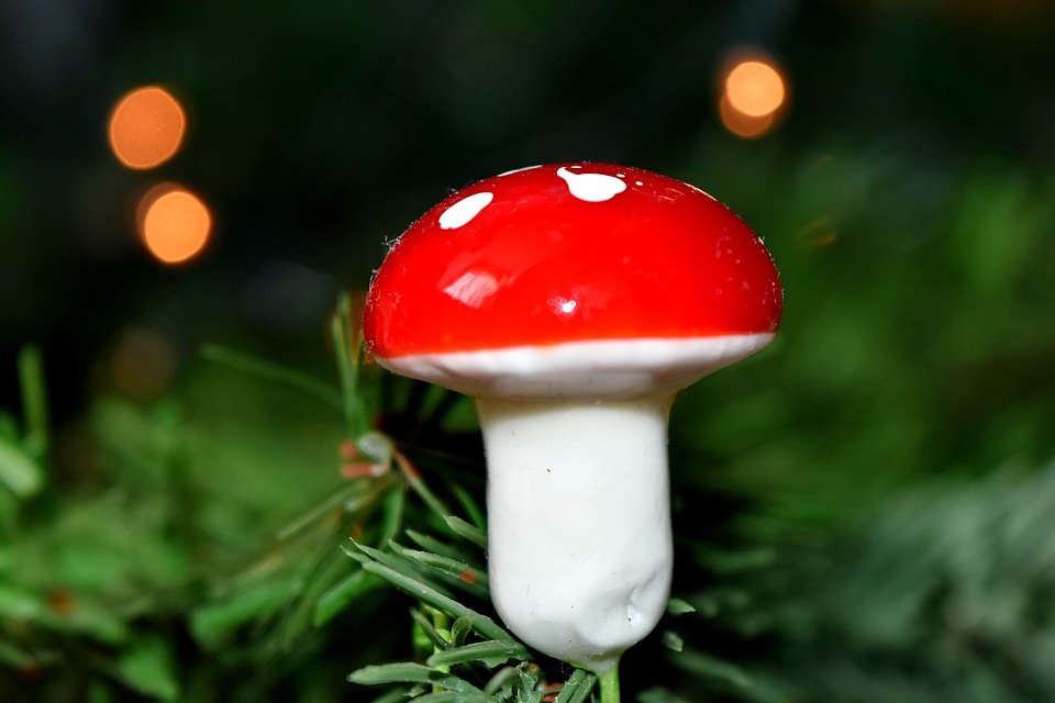 Backlight christmas tree macro