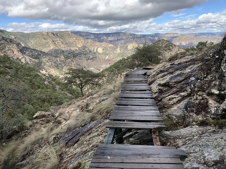 Bridge national park trail