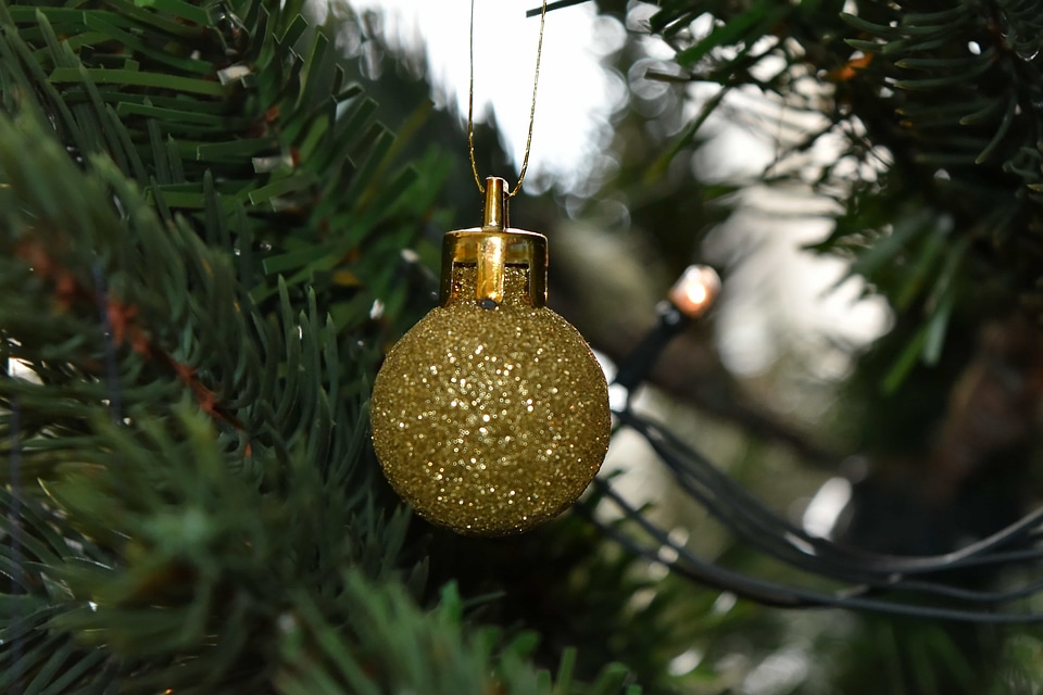 Christmas christmas tree golden glow