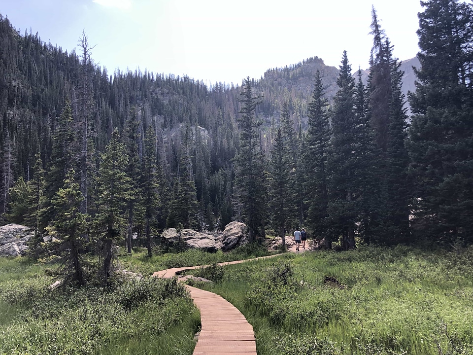 Forest Path forest trail hiking