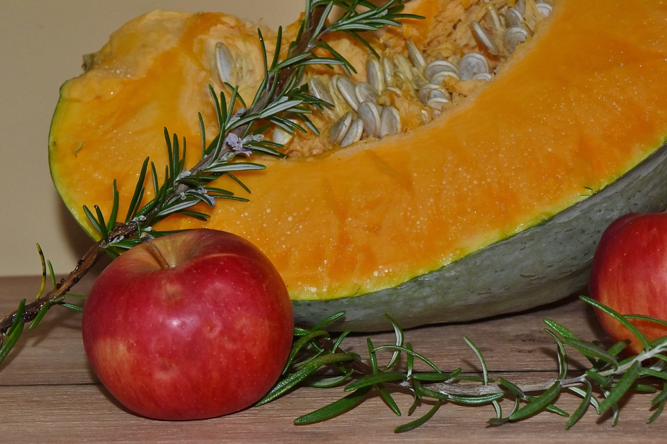 Apples branchlet pumpkin photo