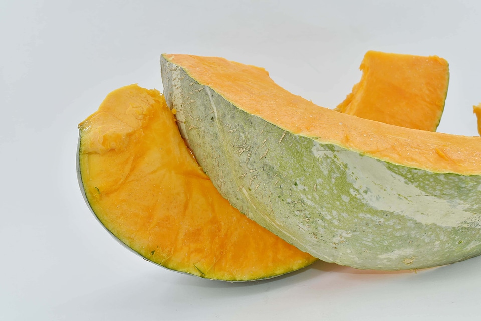 Cortex diet pumpkin