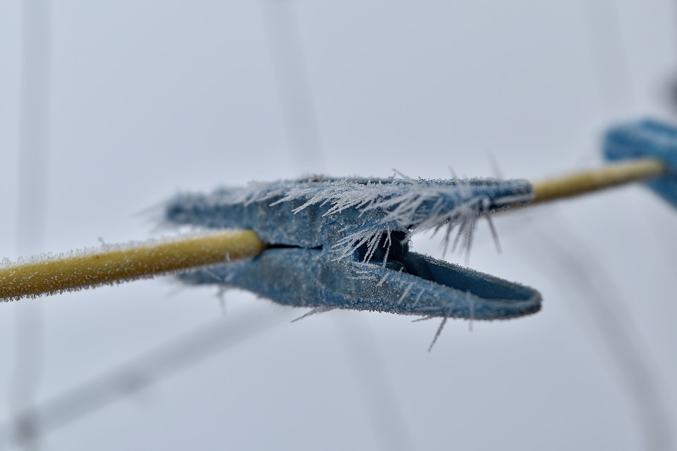 Clothesline freeze plastic