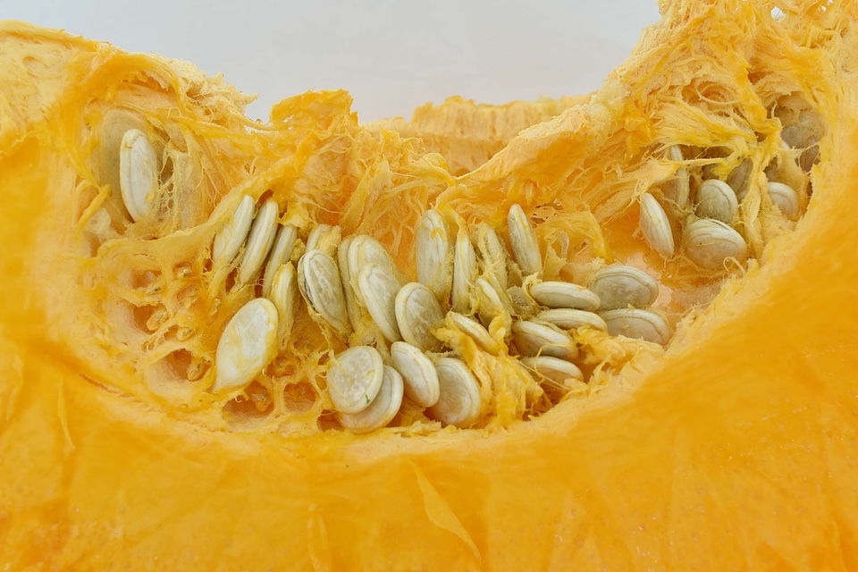 Close-Up orange yellow pumpkin