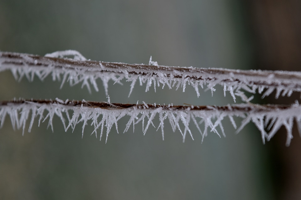 Close-Up cold details