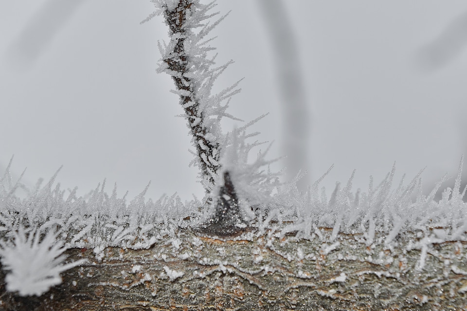 Close-Up detail freeze
