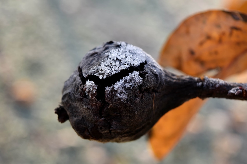 Dry frost ice crystal