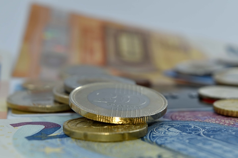 Coins forint paper money