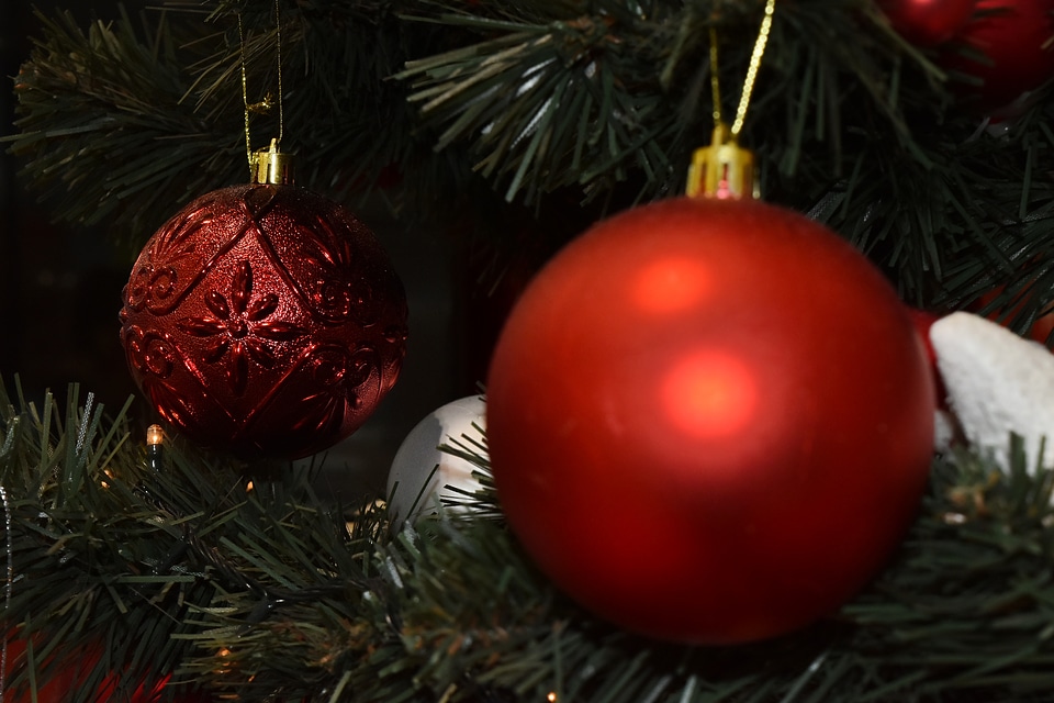 Blur christmas tree focus