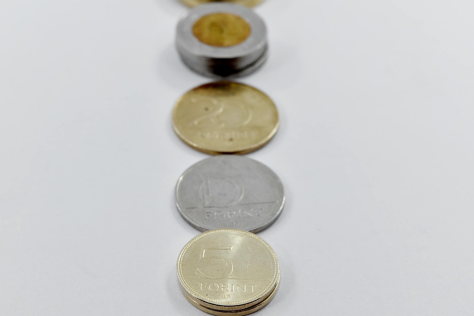 Coins Europe forint