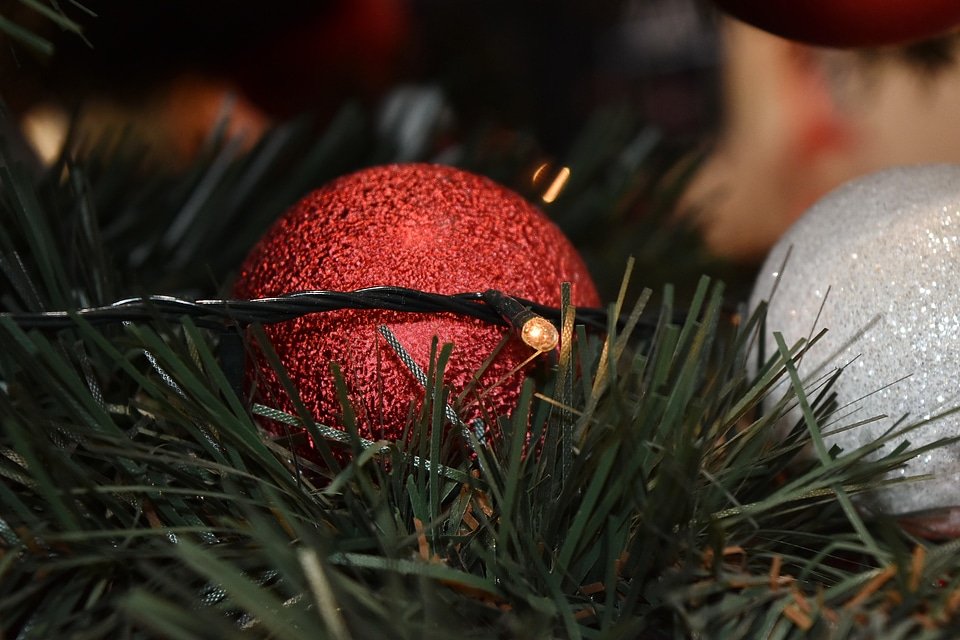 Branch christmas christmas tree