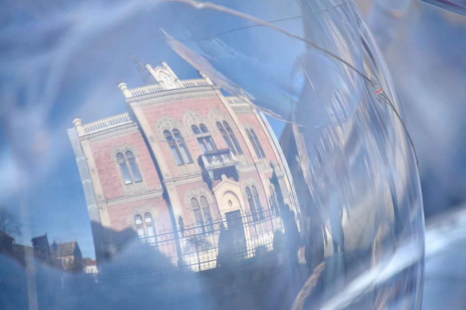 Balloon reflection toy