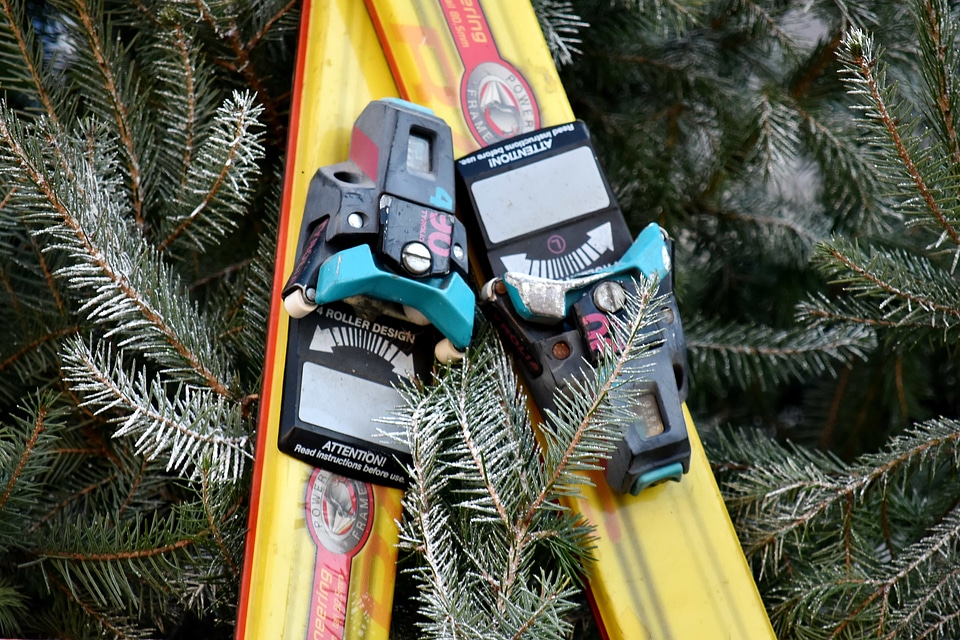 Branch conifers equipment