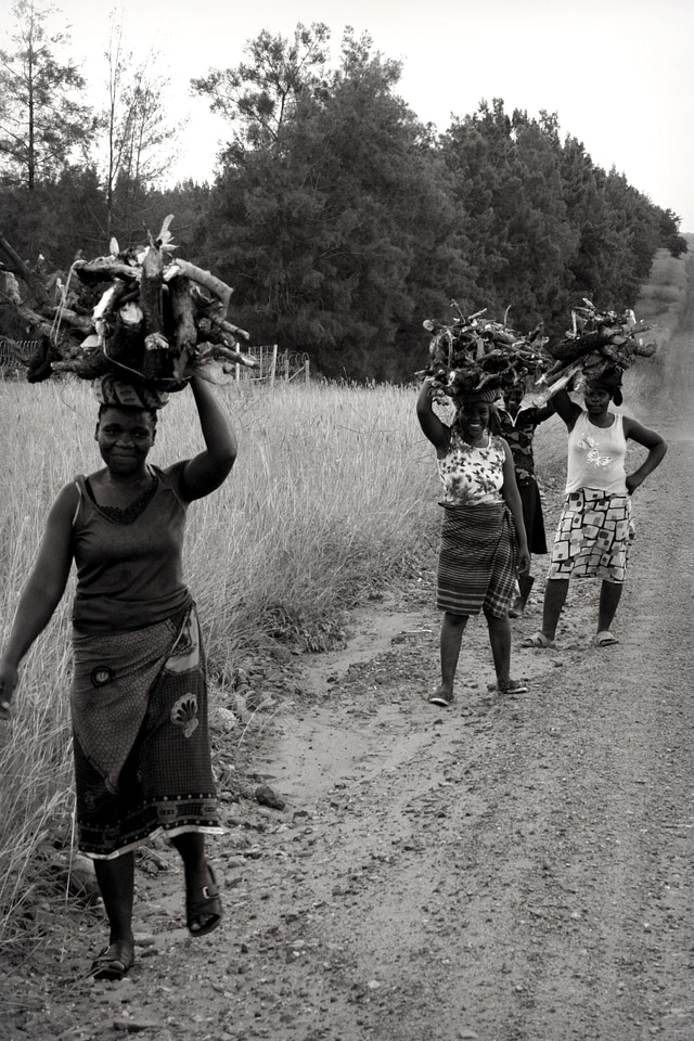 Women carrying wood firewood black and white