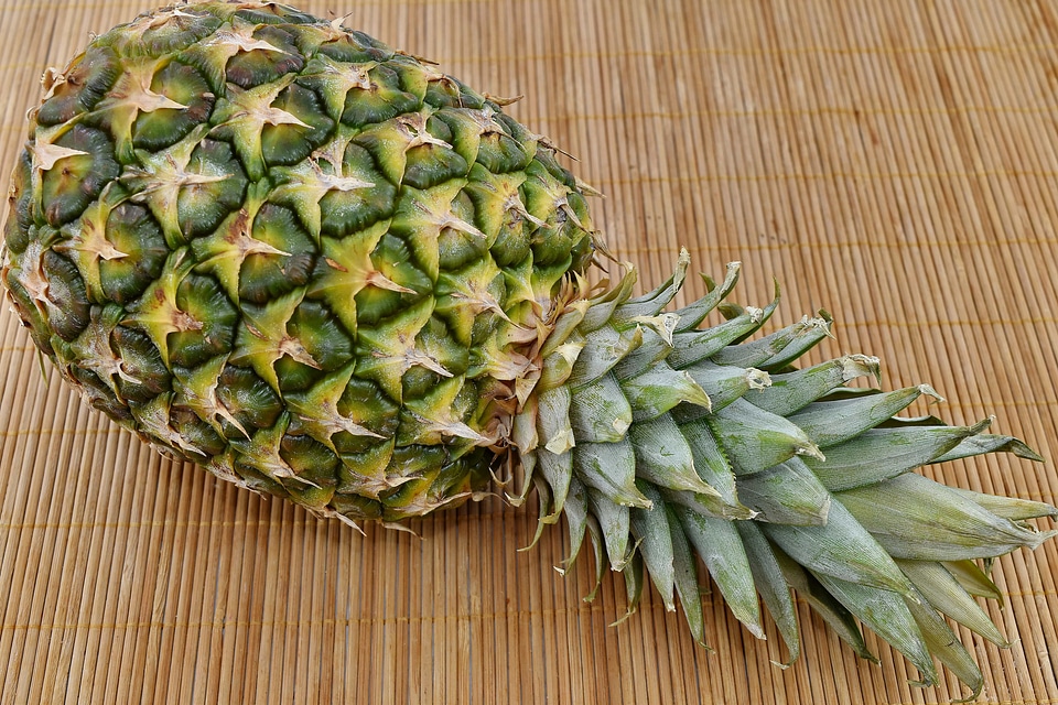 Fruit pineapple nature